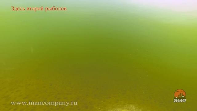 Игра мормышки и прикормка подводные съемки смотреть онлайн