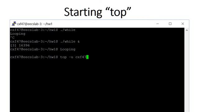 Tutorial on Linux top смотреть онлайн
