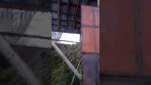 день прошел хорошо поработали мы сено нам дать и одыхать смотреть онлайн