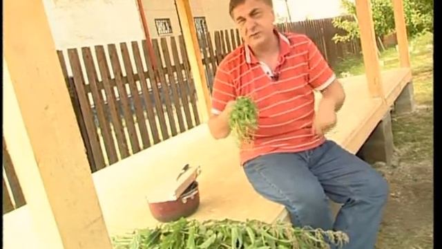 Борьба с сорняками с помощью кур! смотреть онлайн