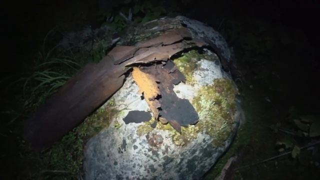 ЧТО СКРЫВАЛ СТАРЫЙ ДОМ В ЛЕСУ. РЕМОНТ СВОИМИ РУКАМИ, ИЗБУШКА ОХОТНИКА смотреть онлайн