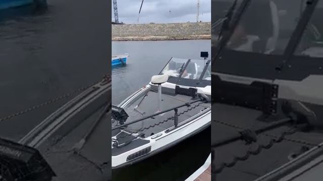 Стихийная реальность смотреть онлайн