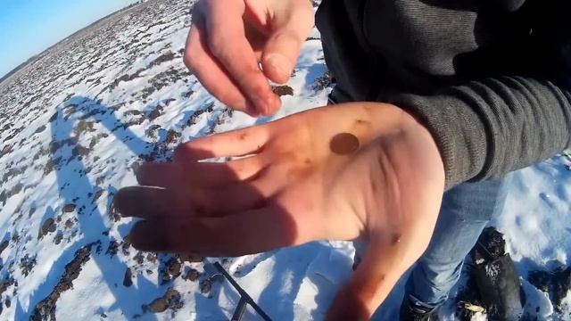 Отчаянный копатель или убойный коп по морозу с Quest X10. смотреть онлайн
