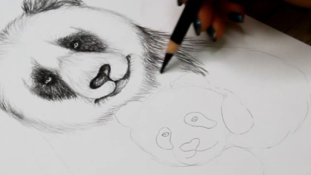 How to draw a panda and its baby step by step | Realistic animal drawing tutorial смотреть онлайн