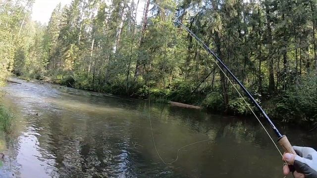 Flyfishing Нахлыст, рыбалка на маленьких реках. смотреть онлайн