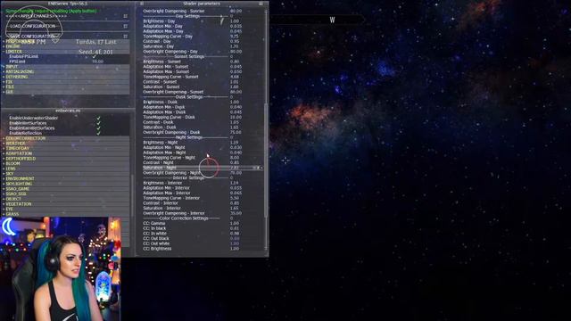 Skyrim ENB Menu Tutorial