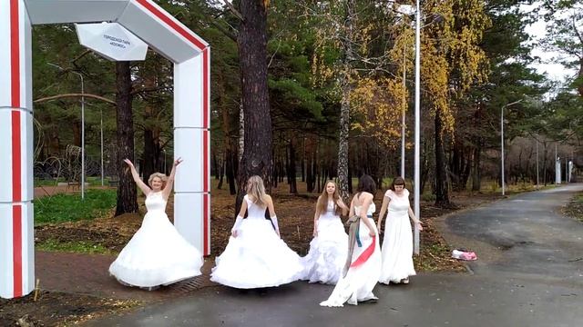 открытие свадебной арки. смотреть онлайн