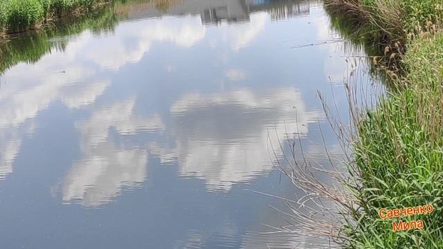 Душа Сказала:" Я УСТАЛА"! Строки Для Тех Кто УСТАЛ! Читает Савченко Мила смотреть онлайн