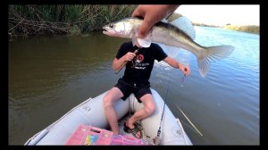 Жизнь на острове в палатке. Судак. Щука на жмых. Сазан. Часть 3.