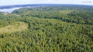 ПОИСК ЗАБРОШЕННОЙ ДЕРЕВНИ в Карелии Родная заброшенная деревня Поход путешествие по Карелии