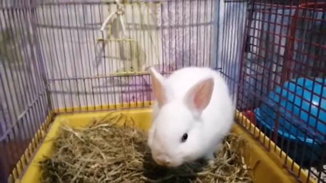 Хорошие и плохие новости. смотреть онлайн