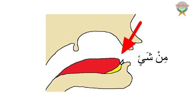 19 - Learn Quran/ tajweed Daily ( Ikhfaa ) lesson - 19 #Ikhfaa #noon sakin # tanween смотреть онлайн