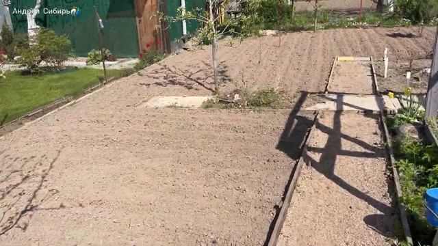 МЕЧТАЕТЕ О ХОРОШИХ УРОЖАЯХ? ФАЦЕЛИЯ КОРОЛЕВА СИДЕРАТОВ ПОМОЖЕТ! ПРОВОЛОЧНИК НЕМАТОДА СОРНЯКИ УЙДУТ! смотреть онлайн