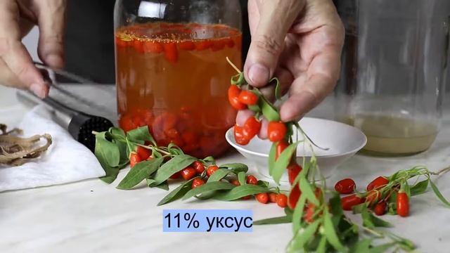 Как из ягод годжи сделать домашний уксус? смотреть онлайн