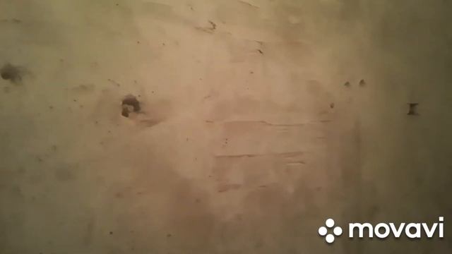 Гидроизоляция, торчащая арматура вдоль которой проходит влага.