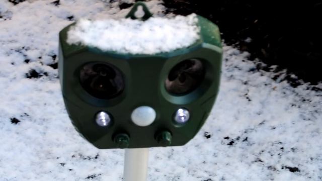 Look at the winter beauty in snowy garden | Backyard Garden Highlights смотреть онлайн