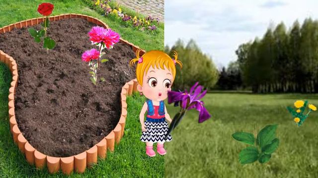 садовые и полевые цветы смотреть онлайн