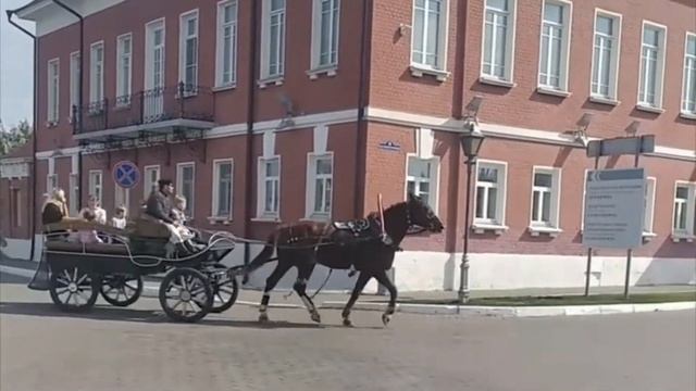 Лошадка в Коломне. Коломенский кремль. смотреть онлайн