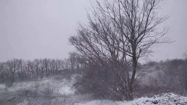 А что происходит | Да просто весна | Вот так неожиданность смотреть онлайн