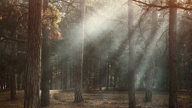 Медитация на внутренний мир и гармонию (14 мин. только музыка) смотреть онлайн