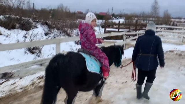 Конюшня Авенсис Какие животные живут на ферме Лошади пони страус верблюд олени ламы и другие питомц смотреть онлайн