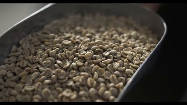 Факты. Факты мира! Шахматы. Сколько зерна можно заработать при помощи доски?) смотреть онлайн