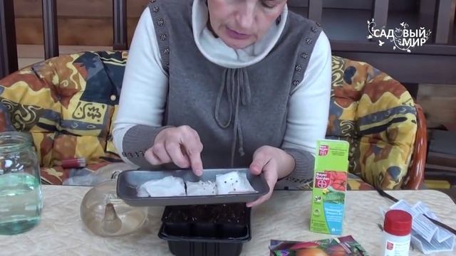 Как защитить рассаду от грибковых болезней Препарат Превикур Энерджи смотреть онлайн