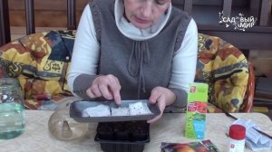 Как защитить рассаду от грибковых болезней Препарат Превикур Энерджи