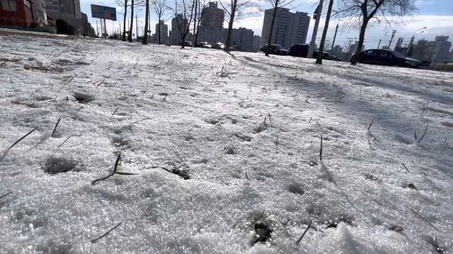 Знакомство. Поход в магазин. Стратификация голубики. смотреть онлайн