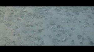 Kamazz - В тебе до капли растворюсь (И я тону в тебе, как в омуте).mp4