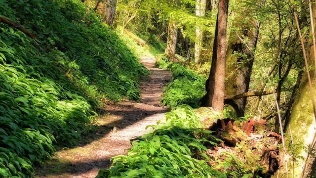 Прапорщик ВДВ обнаружил в тайге заброшенную избу. Заглянув внутрь, он обалдел. смотреть онлайн