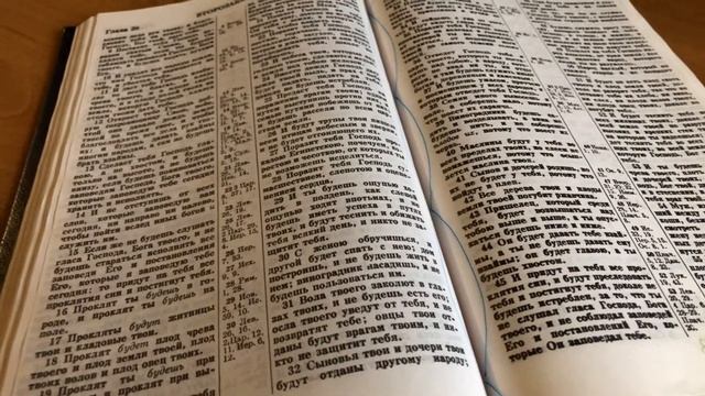 59. Чтение Библии по плану. Второзаконие 28-29. смотреть онлайн