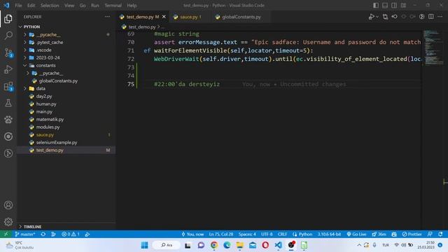 (2023) Python & Selenium Yazılım Geliştirici Yetiştirme Kampı 6. Gün смотреть онлайн