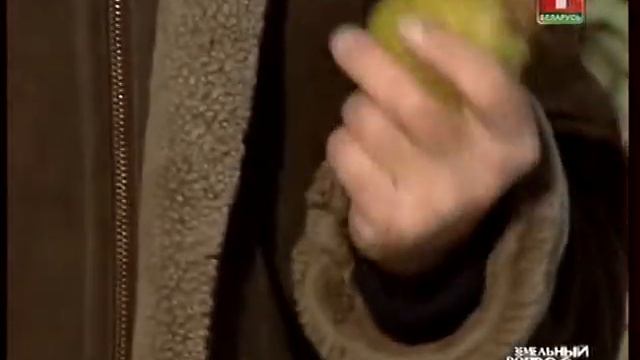 Стратификация семян смотреть онлайн