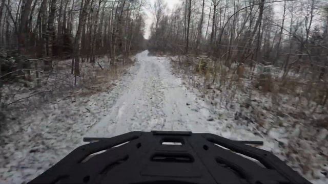 В погоне за клюквой на Segway Snarler