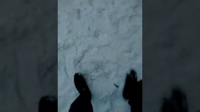 Анекдот весна поклеевывает смотреть онлайн
