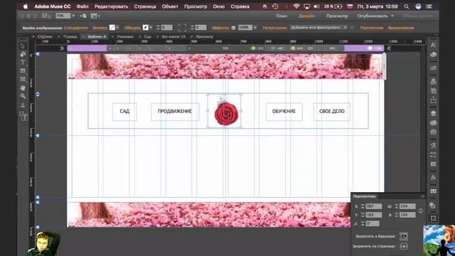 Платаная консультация по Адаптации сайта в Adobe Muse. смотреть онлайн