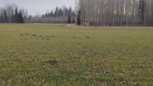 ЖЕСТКО НО СПРАВЕДЛИВО О РУССКОЯЗЫЧНЫХ.Роман Савочка