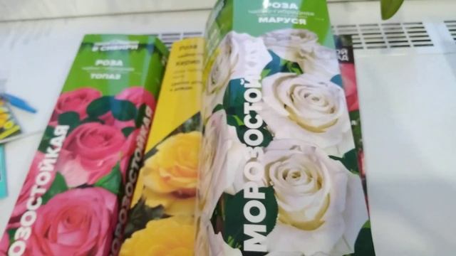 Покупки в Леруа для сада. Красноярск смотреть онлайн