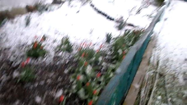 Апрельский снежок 19 апреля 2017г. смотреть онлайн