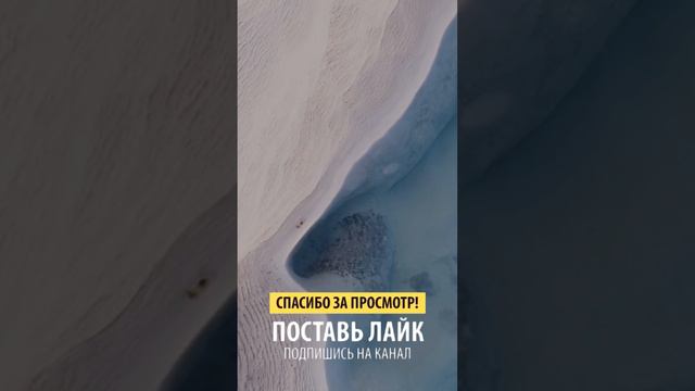 В чем разница между талантом и глупостью? смотреть онлайн