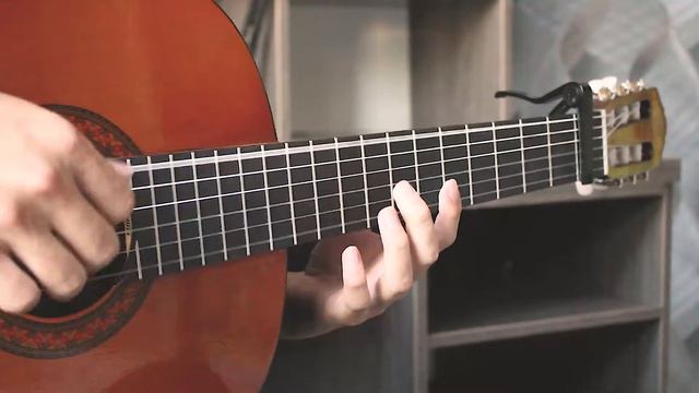 Sting - Shape of my heart (fingerstyle cover) смотреть онлайн