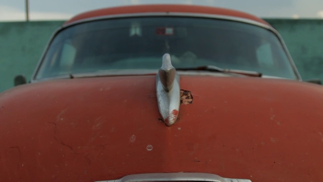 Cuba and the Night смотреть онлайн