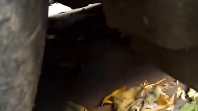 Стук после запуска двигателя w210 e320 смотреть онлайн