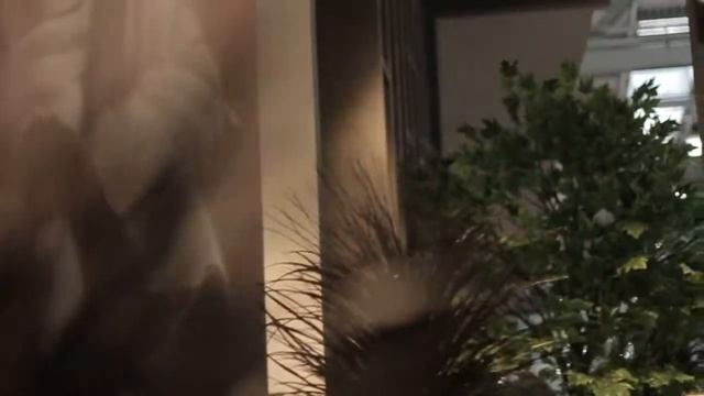 Итоги выставки Mosbuild 2019 - Finex Floors For Perfect Home