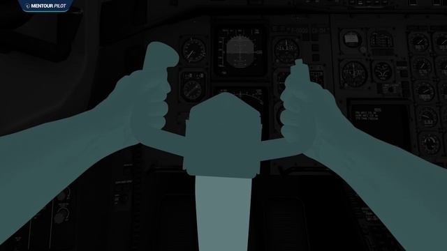 Pilot’s CHILDREN In Control! | Aeroflot Flight 593