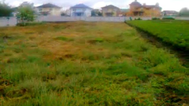 Днепропетровская,Новоалександровка,19 соток смотреть онлайн