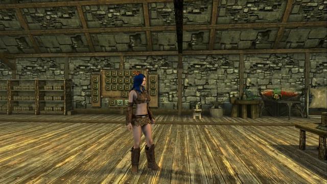 Skyrim (mods) - Charity - Spotlight On: TMB Armors and Clothes Replacer (skimpy Version) смотреть онлайн