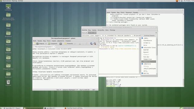 Введение в Calculate Linux Scratch MATE смотреть онлайн