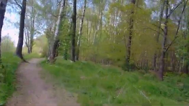 Поездка в лес на электросамокате смотреть онлайн